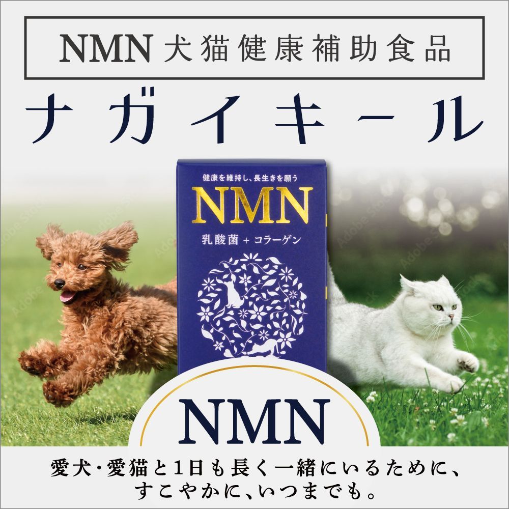 お菓子詰め合わせ　こんにゃくゼリー　チップスター　たけのこの里他 お菓子詰め合わせ こんにゃくゼリー チップスター たけのこの里他