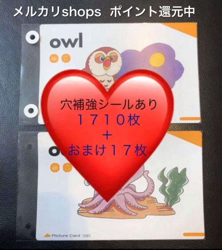 ペッピーキッズクラブ モラモラピクチャーカード 収納袋 英語