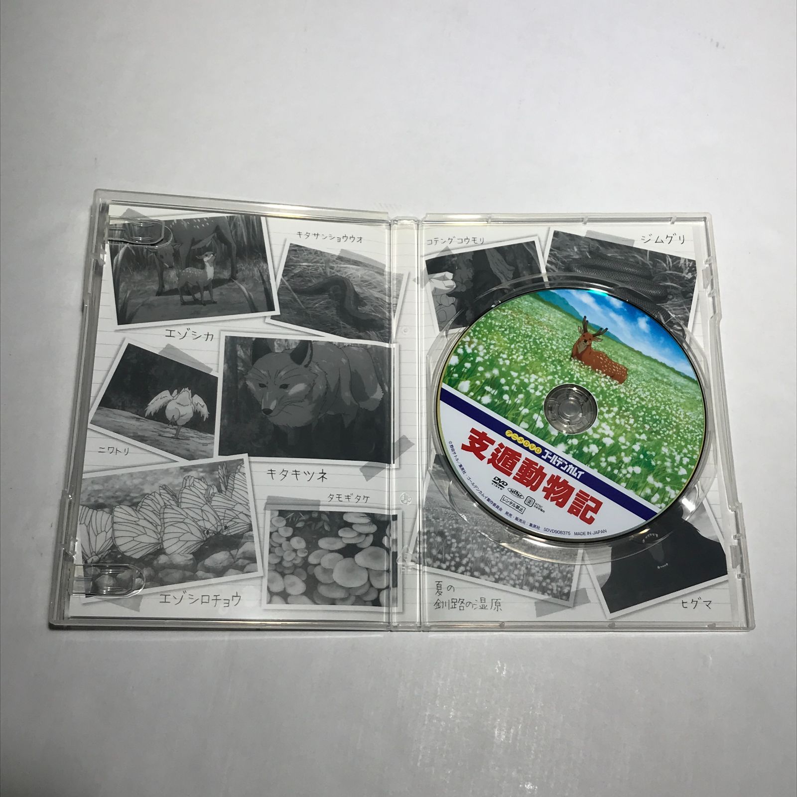 城東1-005】ゴールデンカムイ 23 DVD同梱版 支遁動物記 野田サトル