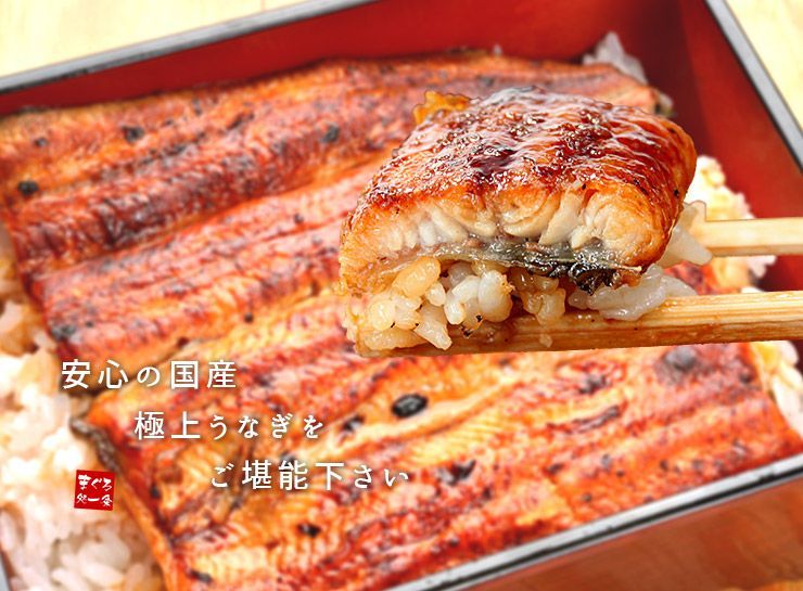国産うなぎ長蒲焼き(160g～170g)×2尾セット タレ・山椒付き-9