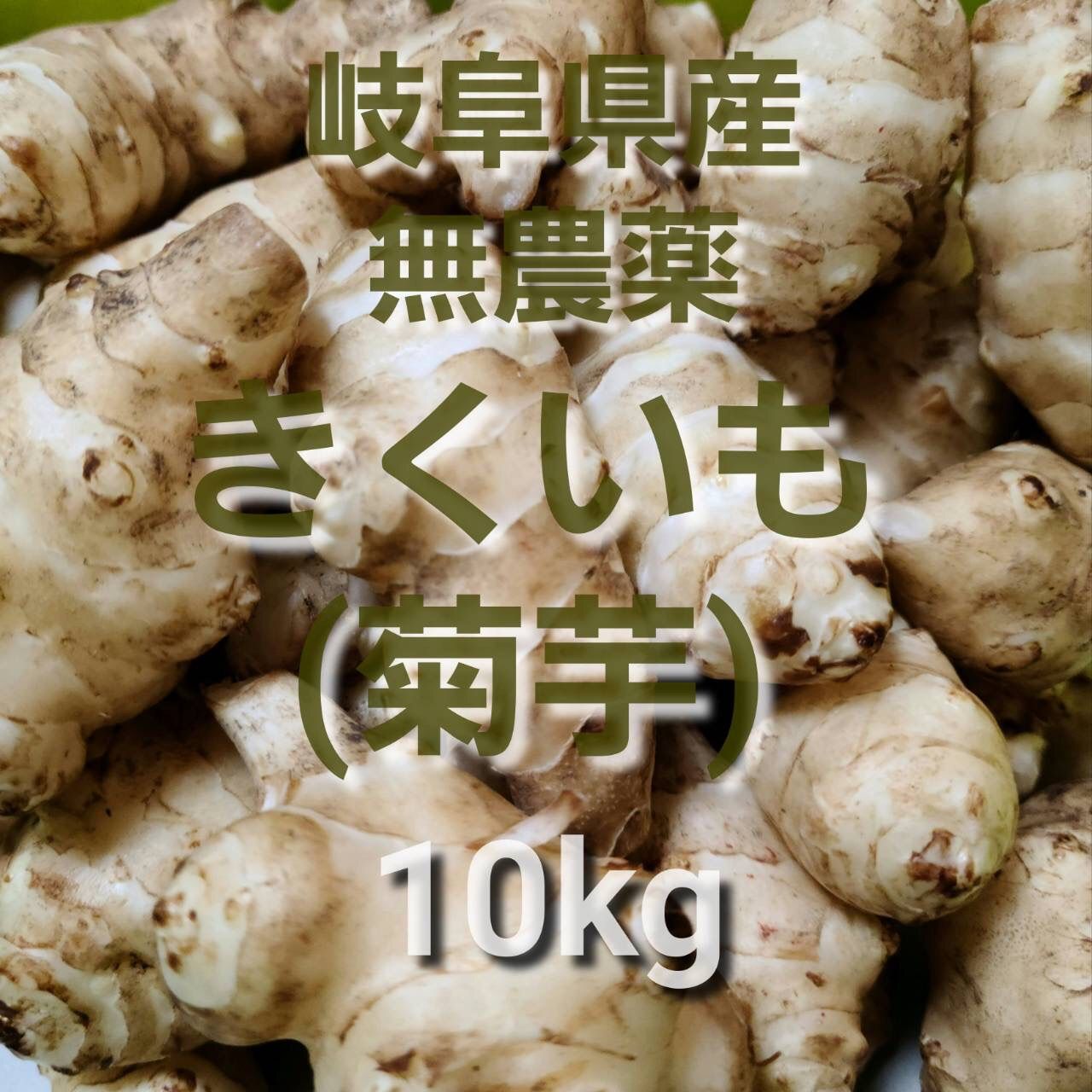 岐阜県産 きくいも(菊芋) 10kg 土付き 堀り立て発送！無農薬 - メルカリ