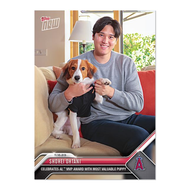 完売品】2023 Topps Now 大谷翔平 × 愛犬"デコピン"🐕 MVP受賞 特別 完売品】2023 Topps Now 大谷翔平 × 愛犬"デコピン"🐕 MVP受賞 特別