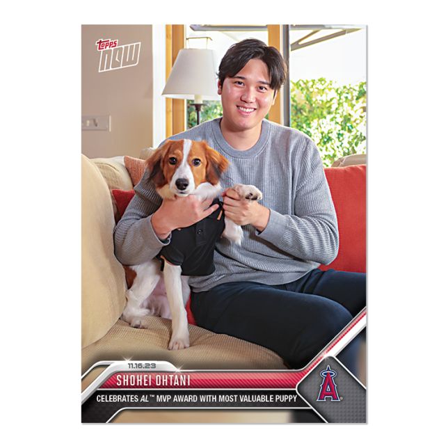 完売品】2023 Topps Now 大谷翔平 × 愛犬＂デコピン＂🐕 MVP受賞 特別 