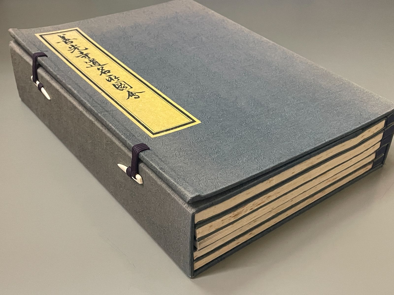  善光寺道名所図會 解題共全6冊 その他 本