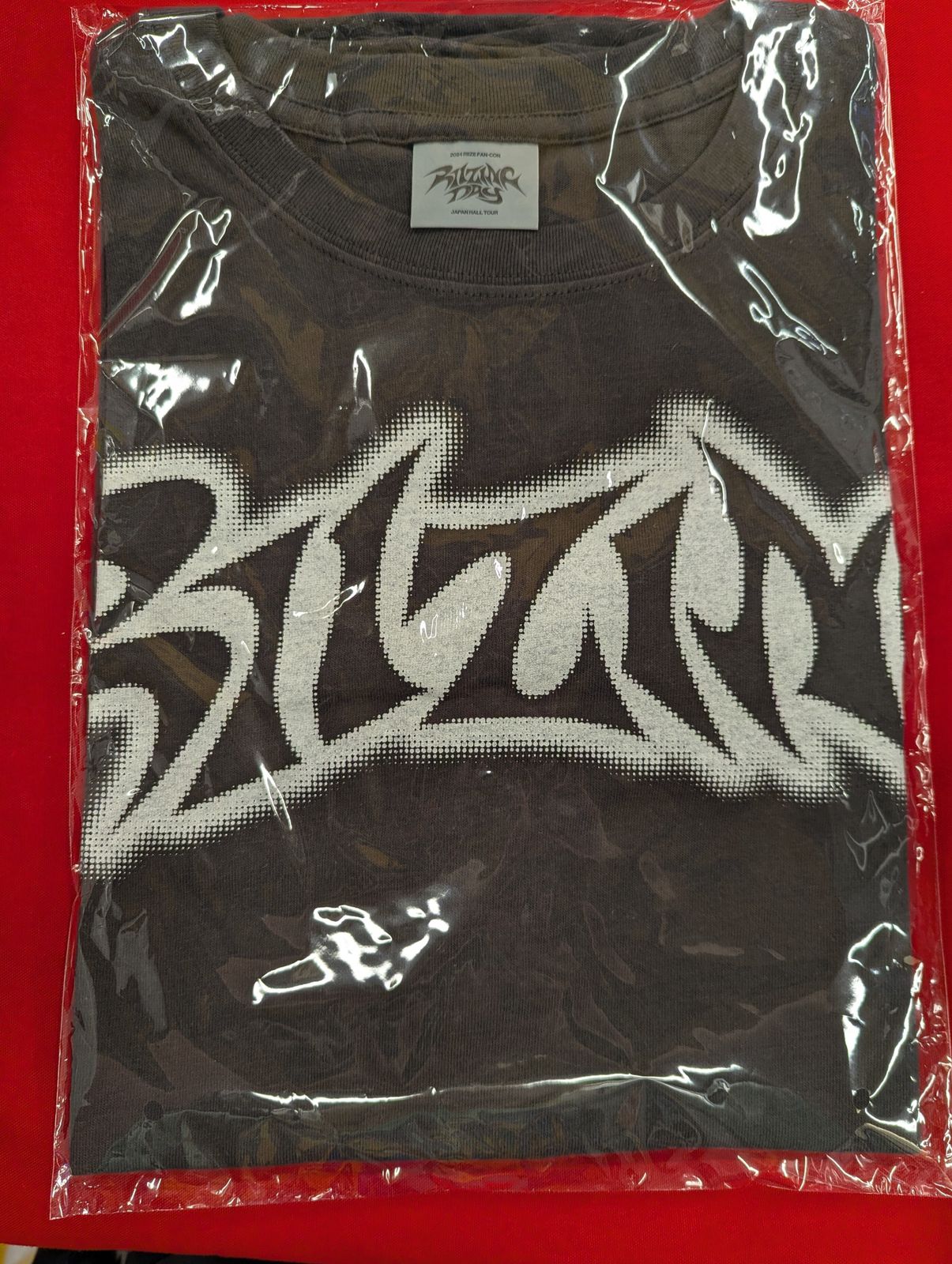 RIIZE 2024 FAN-CON 'RIIZING DAY' JAPAN HALL TOUR T-shirt-LOGO ver