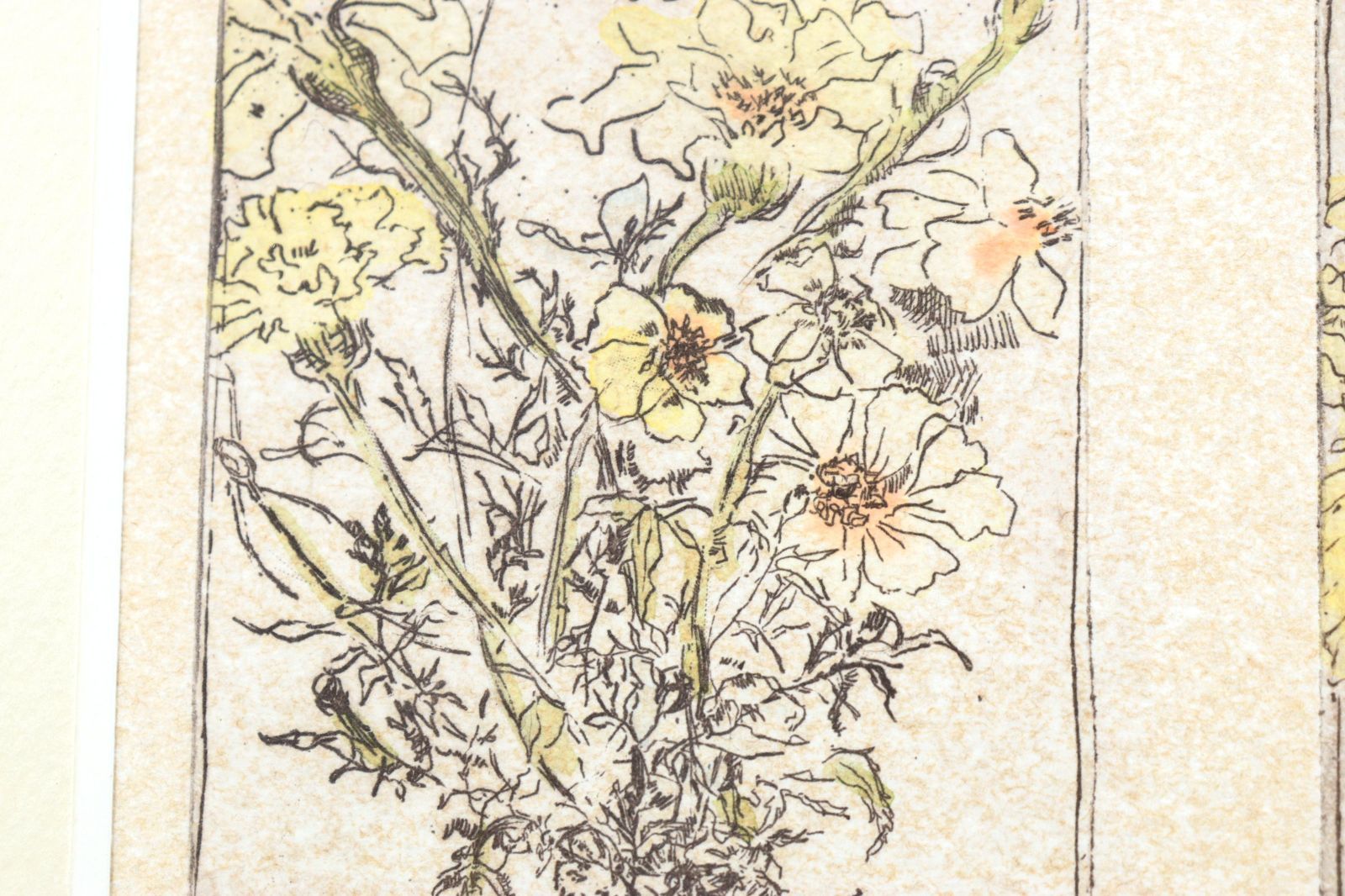 Joanne Isaac ジョアン・アイザック 「Marigold Bouquet Diptych」銅板