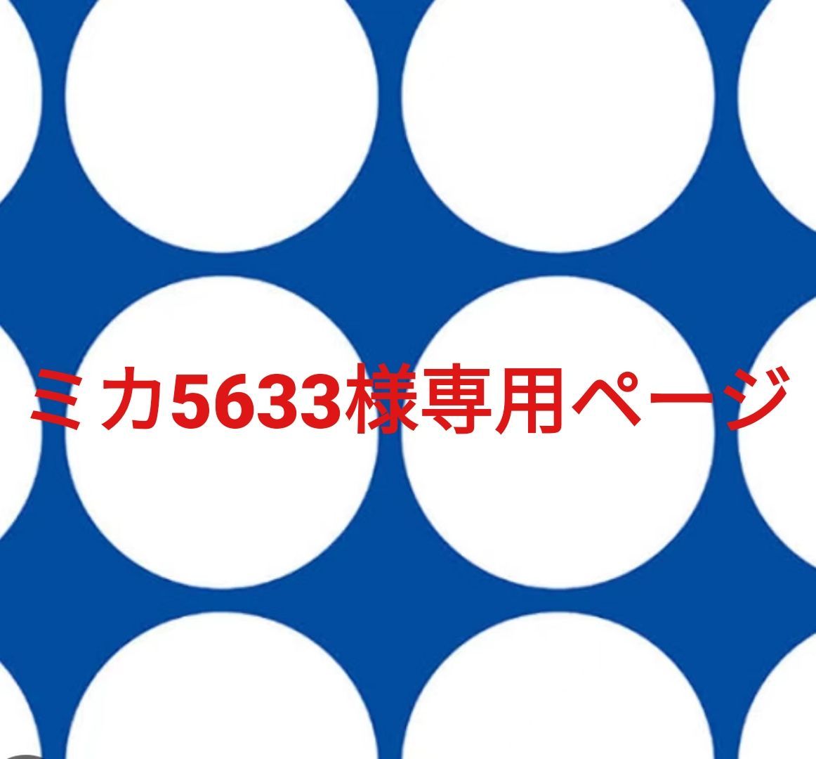 ✳︎様専用•*¨*•.¸♬︎ Aさま専用ページ♡