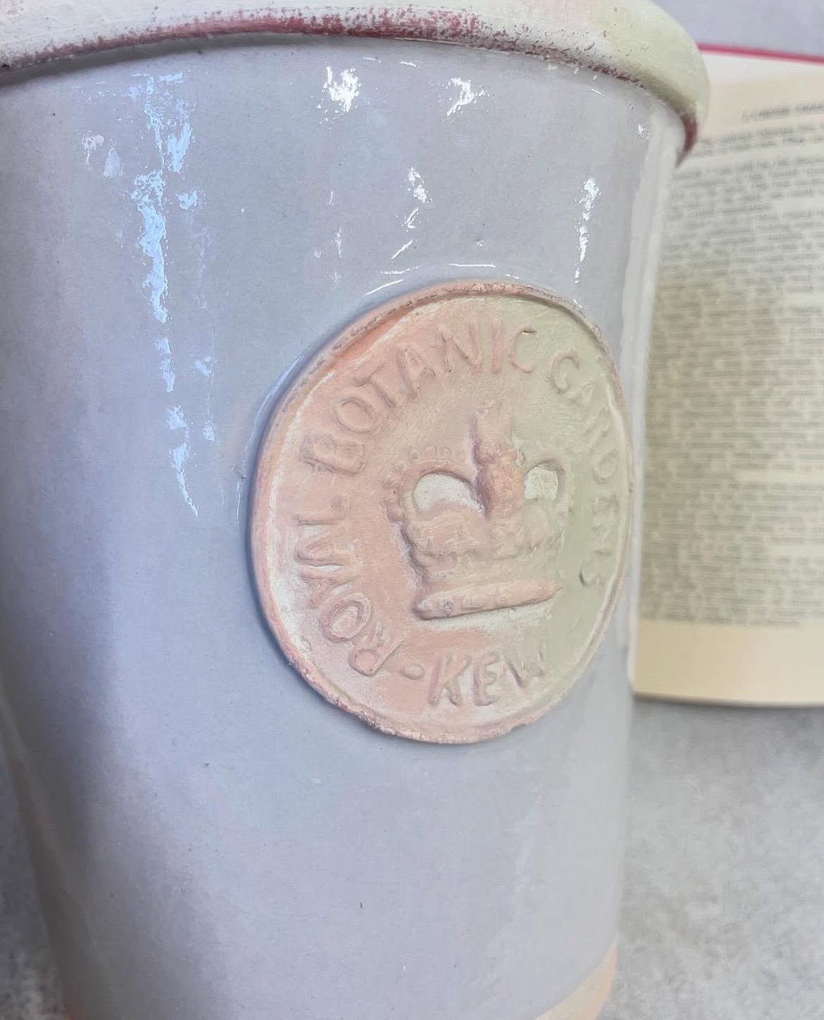 キューポット♡ボーンホワイト　キューガーデン　イギリス　植木鉢　輸入 キューポット♡ボーンホワイト キューガーデン イギリス 植木鉢 輸入