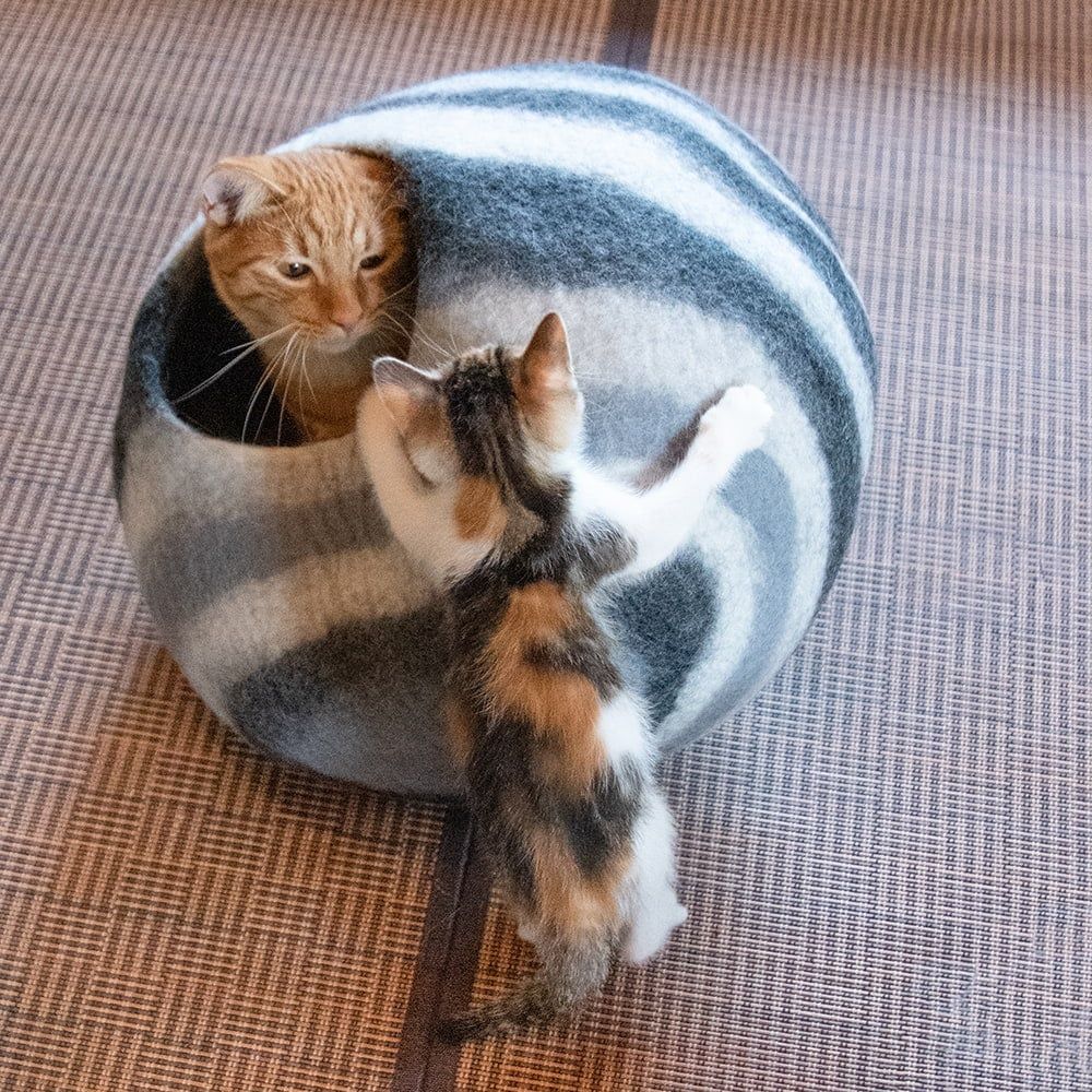 | ペット用品