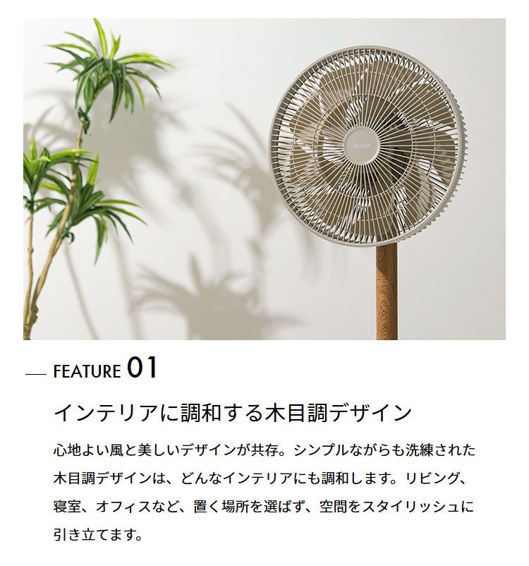 ボタン式
