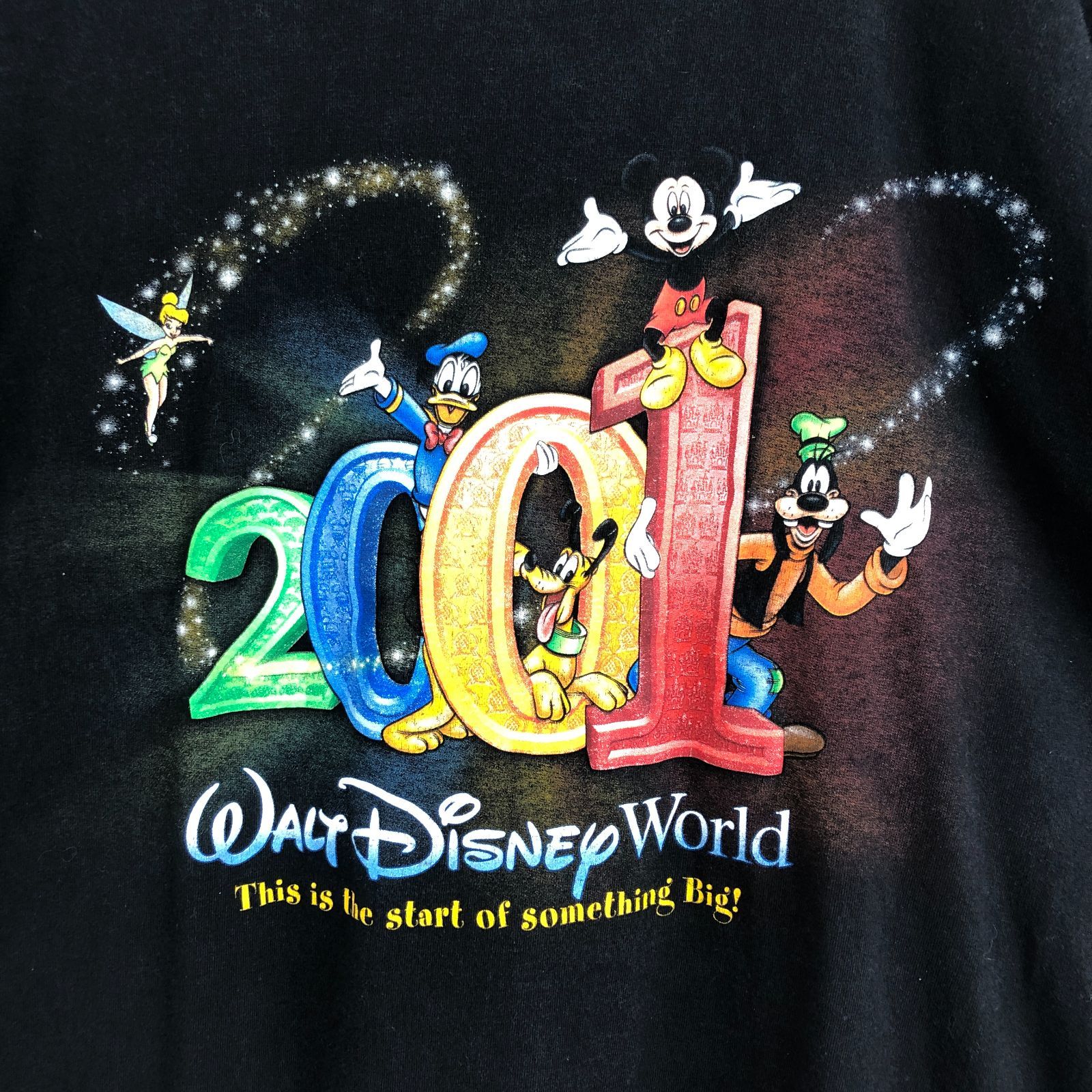 Walt Disney World ディズニー Tシャツ ディズニーワールド 2001 ブラック メンズ XXL 相当 古着 n045288