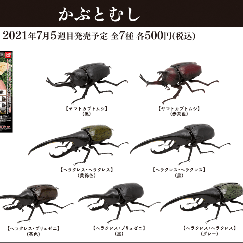 いきもの大図鑑 カブトムシ かぶとむし ヘラクレス ガチャ ⑩③