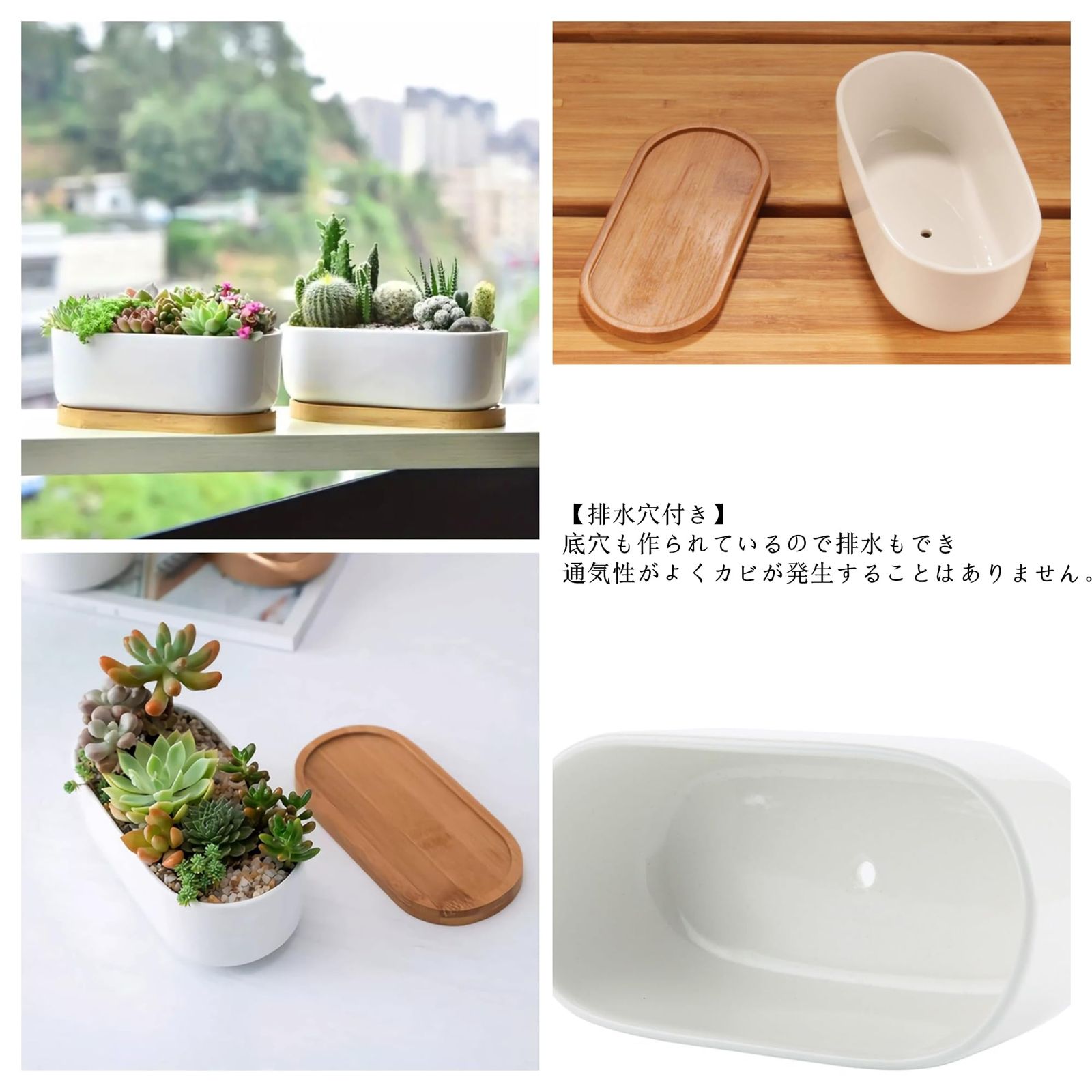 植木鉢　2個セット 植木鉢 2個セット 多肉植物鉢 陶器鉢 多肉植物ポット 楕円形サボテン鉢