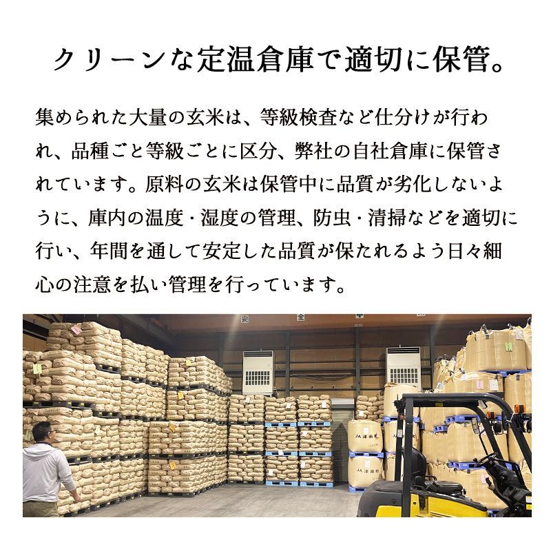 新米 新之助5kg お米 令和6年産 白米