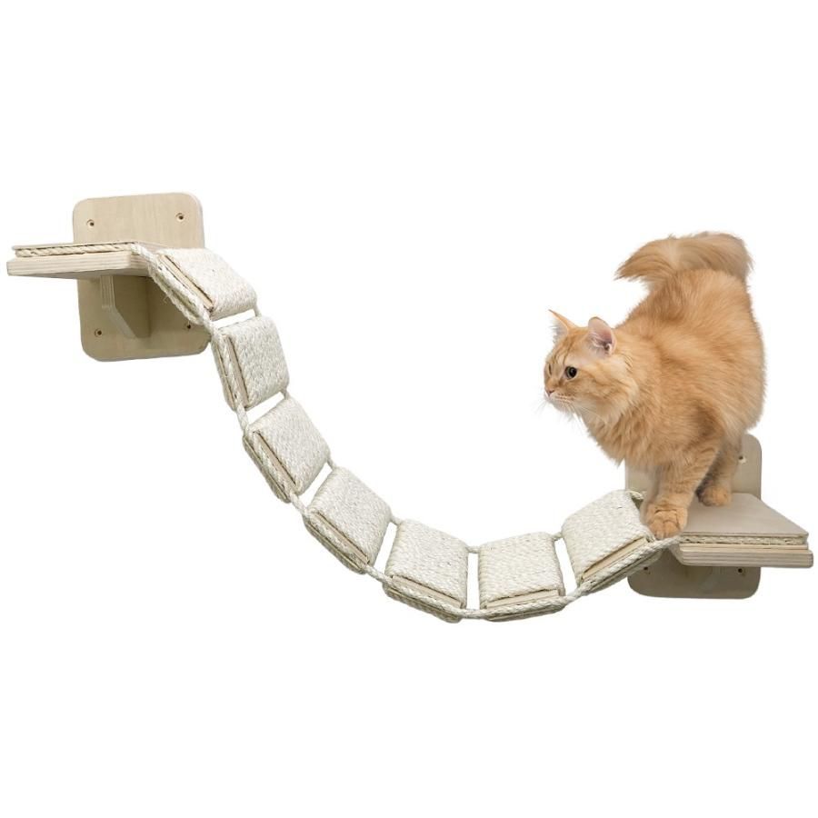 キャットウォーク