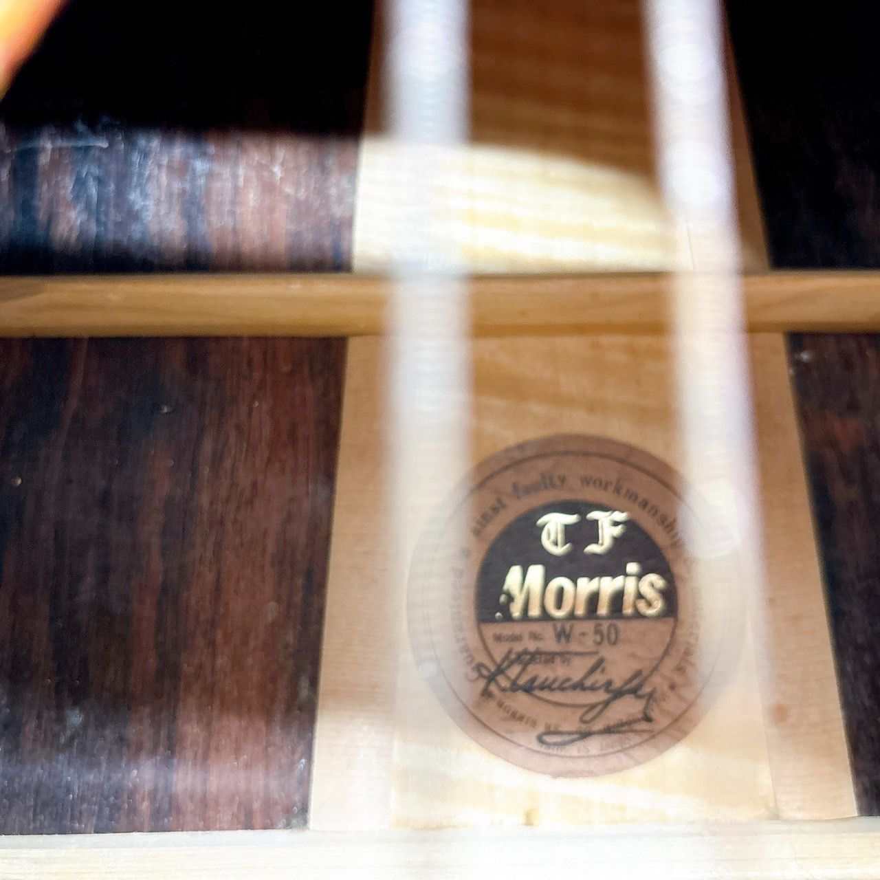 ヴィンテージ] MORRIS モーリス TF W-50 アコースティックギター
