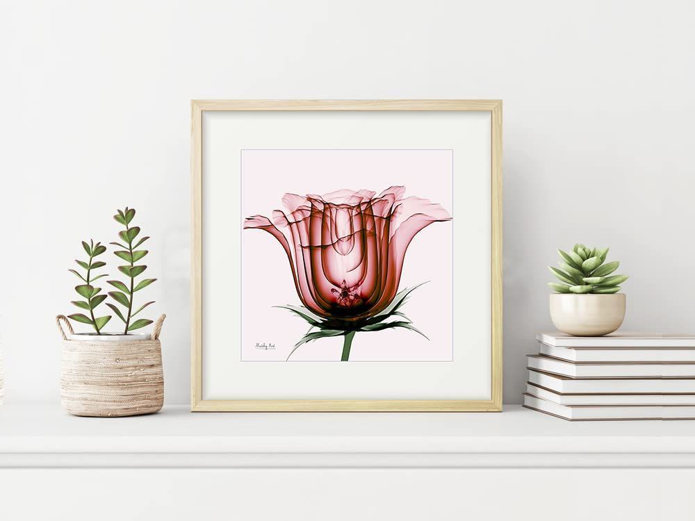 薔薇の絵 赤い薔薇の絵 薔薇 絵画 花 絵画 薔薇 花 絵 インテリア ...