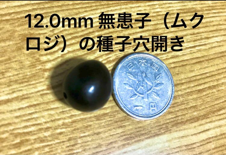 12.0mm 無患子（ムクロジ）の種子穴開き数珠用108個+ 増量10個 - メルカリ