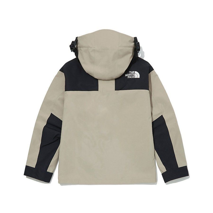 海外限定 THE NORTH FACE GTX GORE-TEX MOUNTAIN JACKET ノース