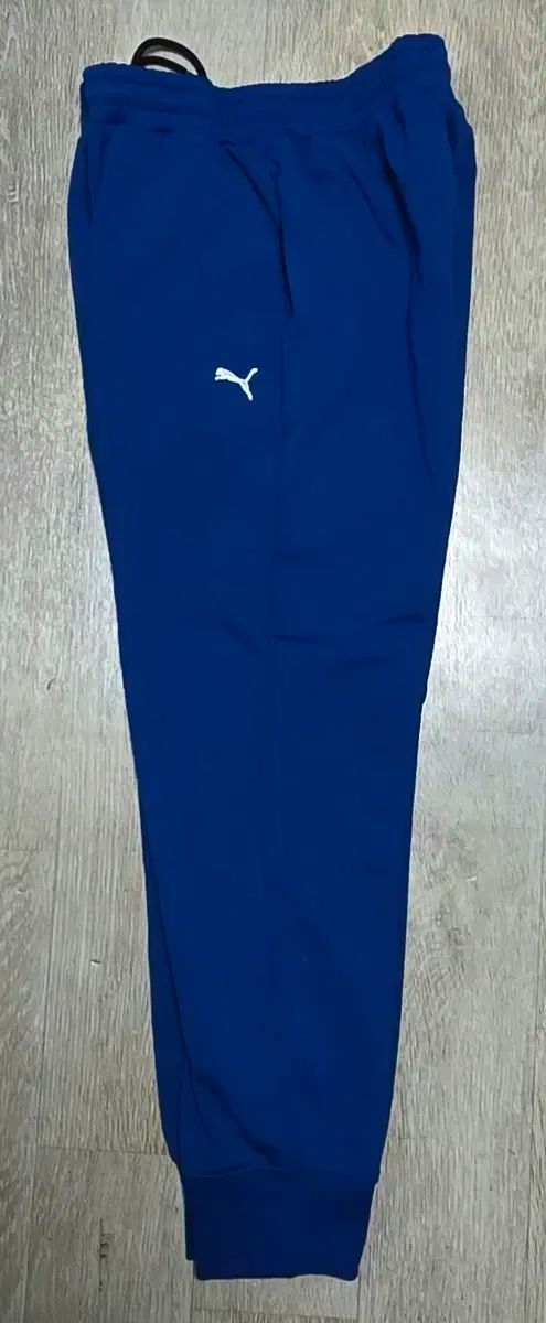 PUMA トレーニング