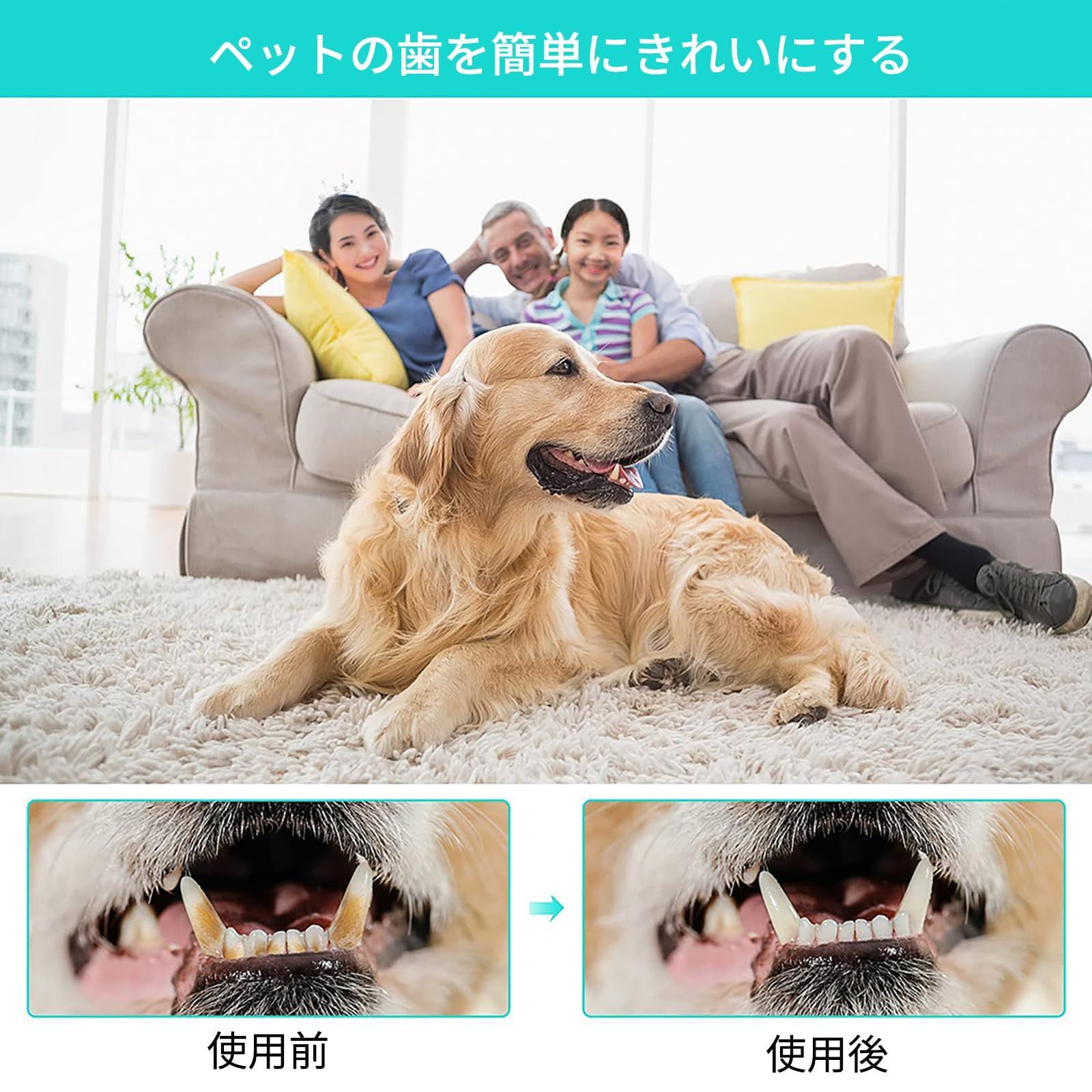 最大73％オフ！ 犬 歯ブラシ 指サック ペット用歯ブラシ 指歯ブラシ ケア用品 口腔ケア ペット 犬 いぬ 猫 ねこ 犬口ケア ソフトブラシ やわらかい  歯磨き ペット用歯ブラシ 指