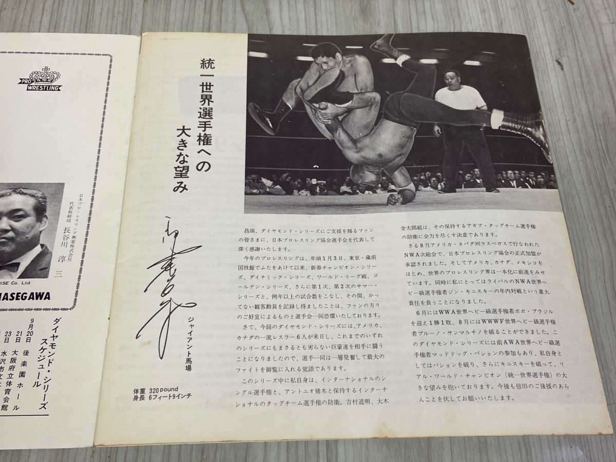 3-△ パンフレット 日本プロレス 第3回ダイヤモンド・シリーズ