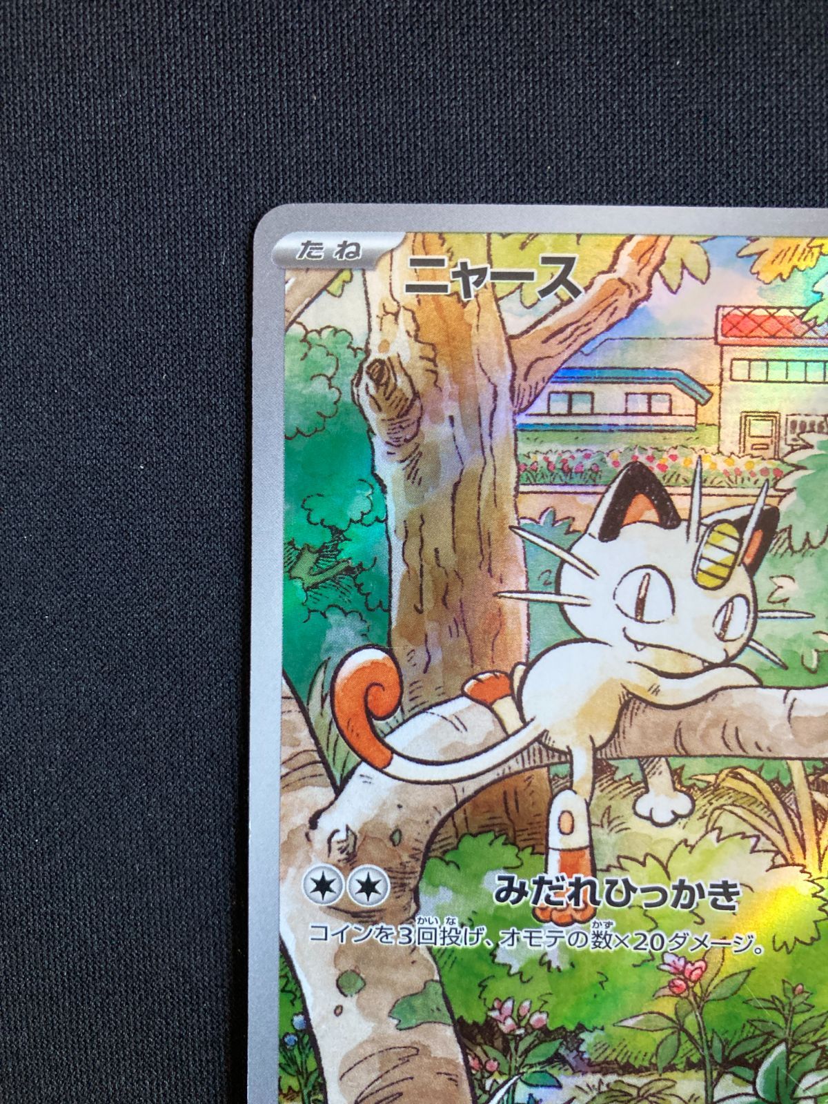 ポケカ　ニャース　プロモ ニャース(192/SV-P) | プロモ | ドラゴンスター | ポケモンカード