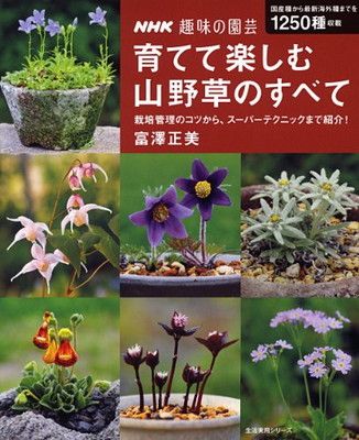 NHK趣味の園芸 育てて楽しむ 山野草のすべて (生活実用シリーズ) 富澤 正美