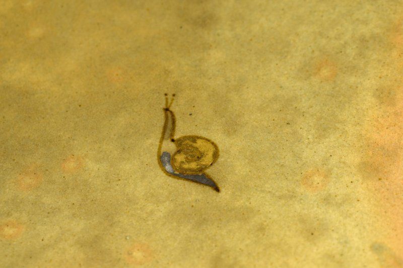 蔵A5459d 番浦史郎