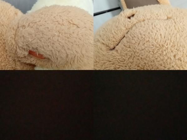イーブイ とってもおおきなふんわりぬいぐるみが数量限定販売