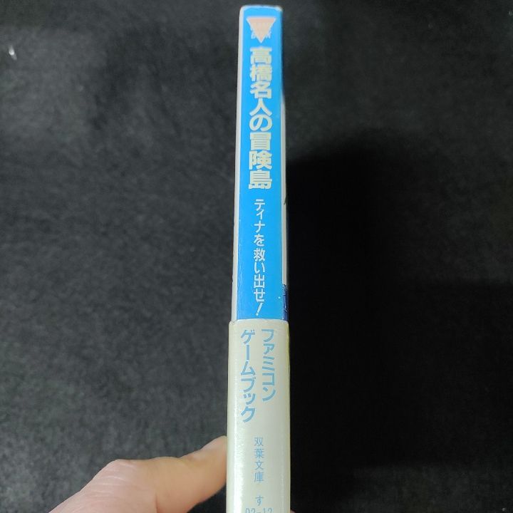 ファミコン冒険ゲームブック 高橋名人の冒険島 ティナを救い出せ