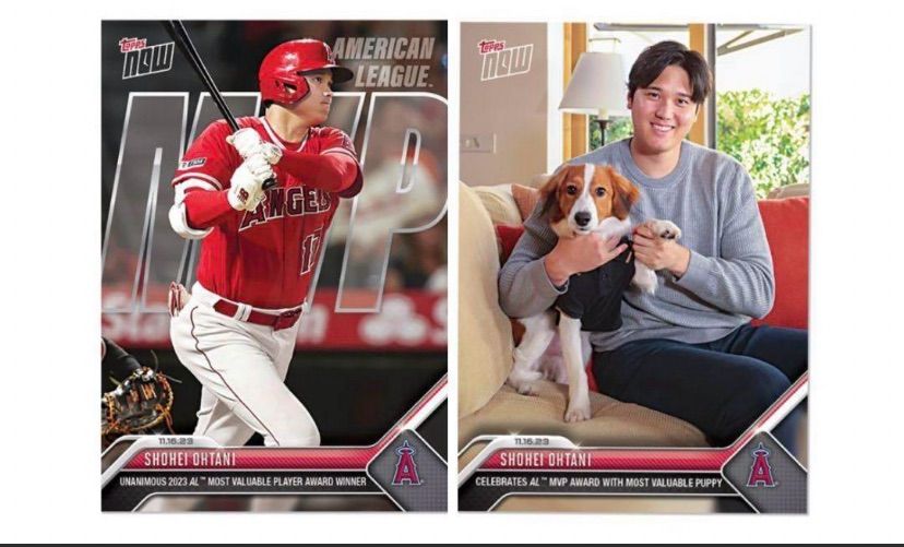 ホットセール - アートトラベルシューズ 大谷翔平 Card 3枚組ドジャースMVPデコピン記念カードTOPPS 新品 記念グッズ