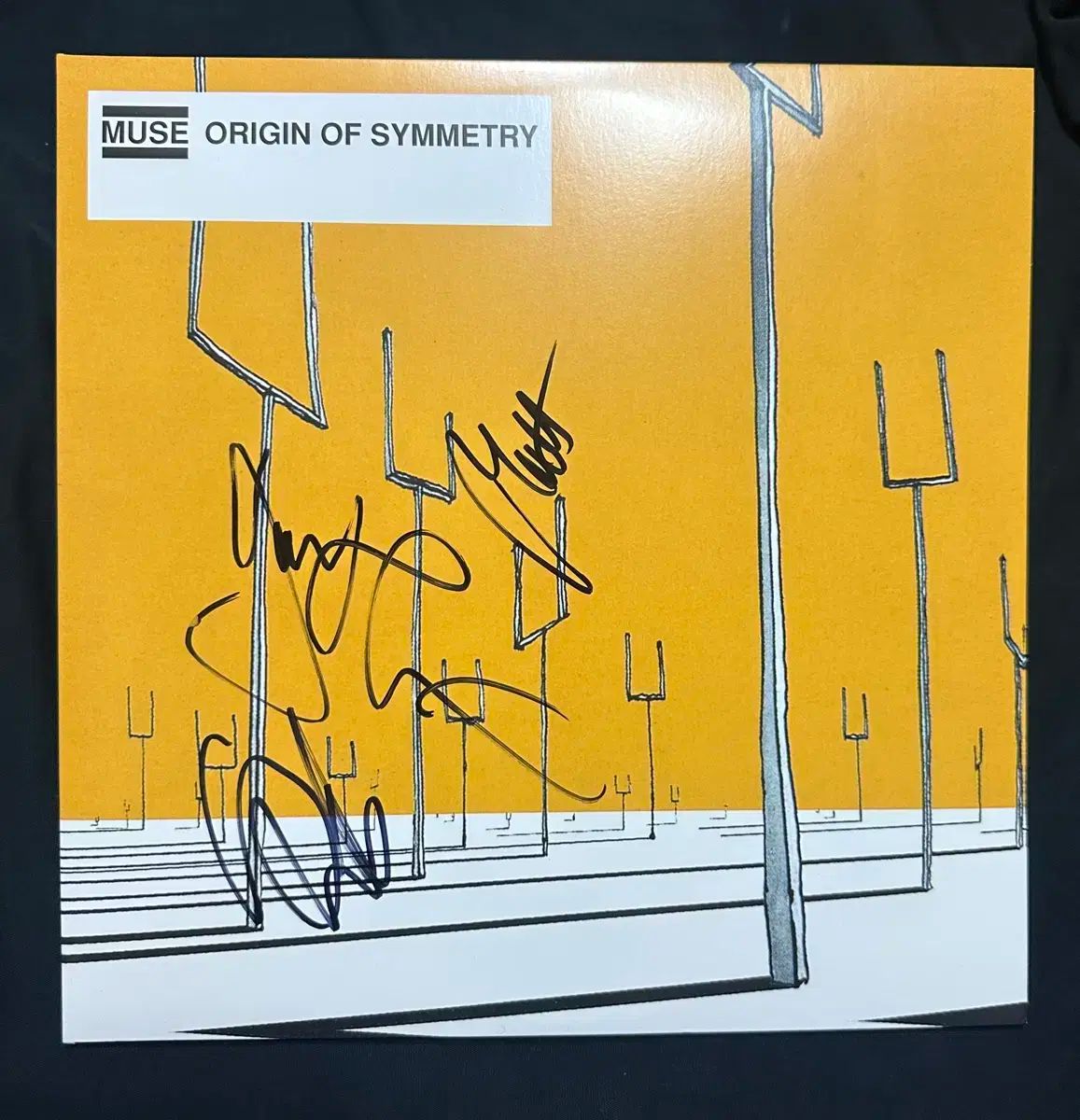 ミューズ サイン入り サイン origin of symmetry lp
