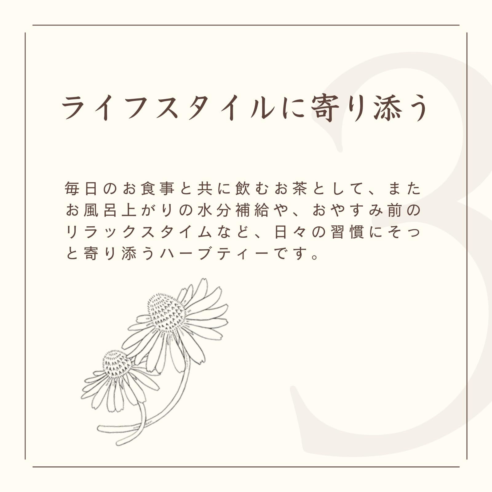 高麗人参剛力ブレンド