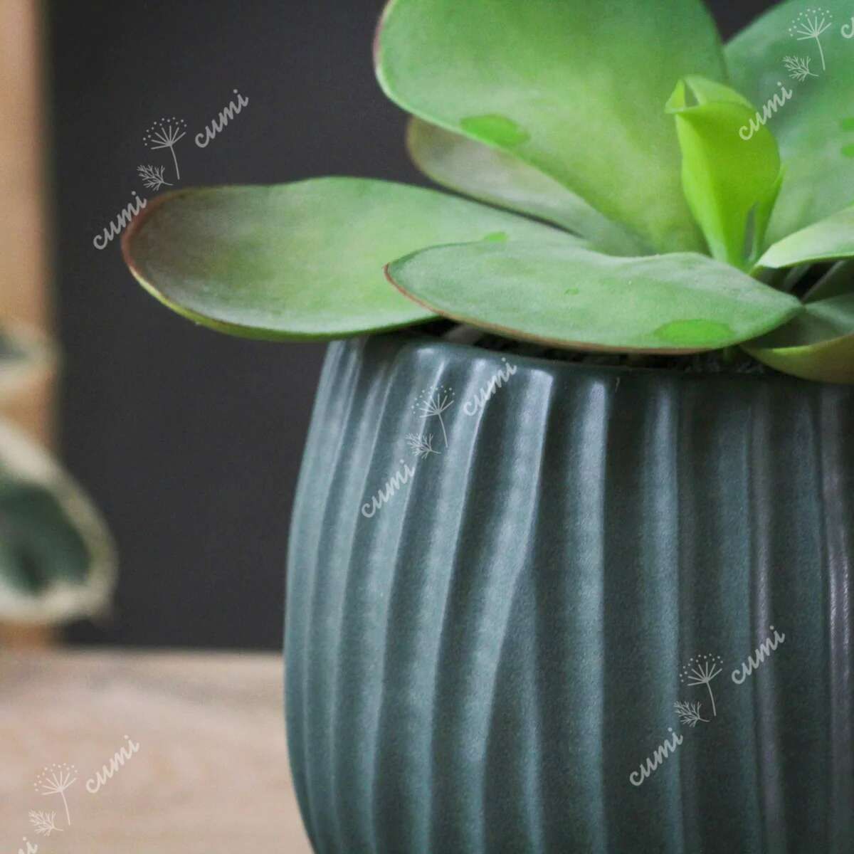 N0052 Woodlodge ウッドロッジ イギリス 6号 脚付き グリーン 植木鉢 