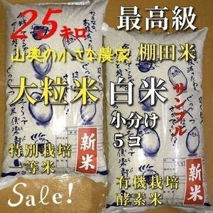 【超希少】棚田米　酵素米　大粒米　玄米２０Kg「標準白米に精米」 超希少】棚田米酵素米大粒米玄米20Kg「標準白米に精米