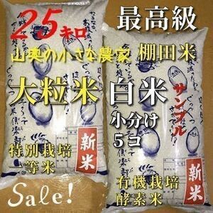 超希少】棚田米 酵素米 大粒米 玄米２０Kg「無洗米に精米」 やぼっ