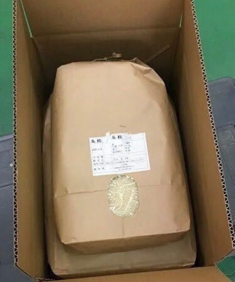 コシヒカリ玄米10kg
