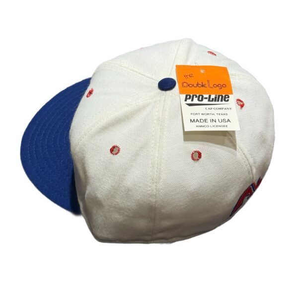 90's Quebec Nordiques Team Logo Cap Made in USA “Dead Stock