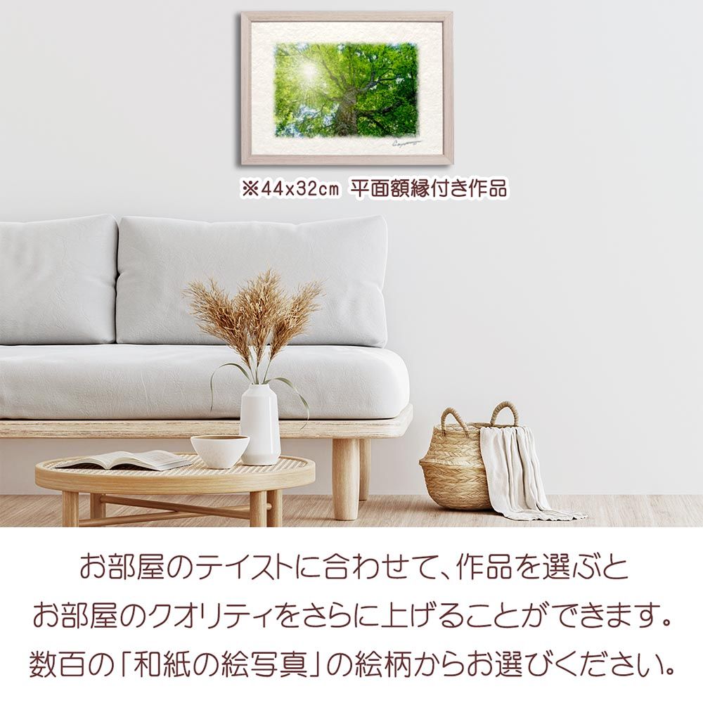 風景画 掛軸 手描き インテリア 壁掛け 和風アート モダンデザイン 和紙の絵写真 「木漏れ日と新緑のブナの大木」 平面額縁付き 32x23cm