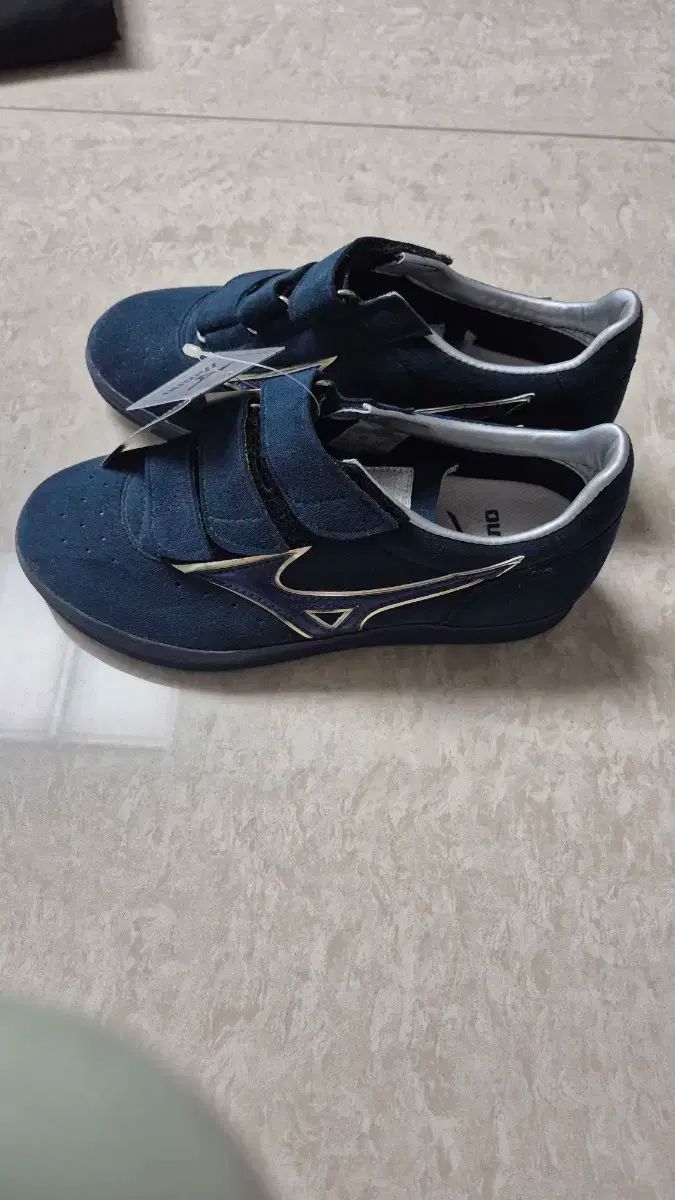 mizuno