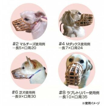 ワンタッチ口輪セット