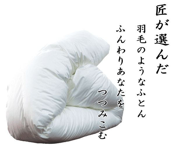 掛け布団 クイーン ダクロン インビスタ社 掛布団 増量 日本製 掛けふとん