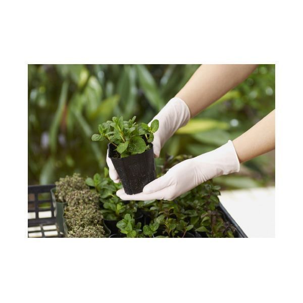 使いきり天然ゴム L