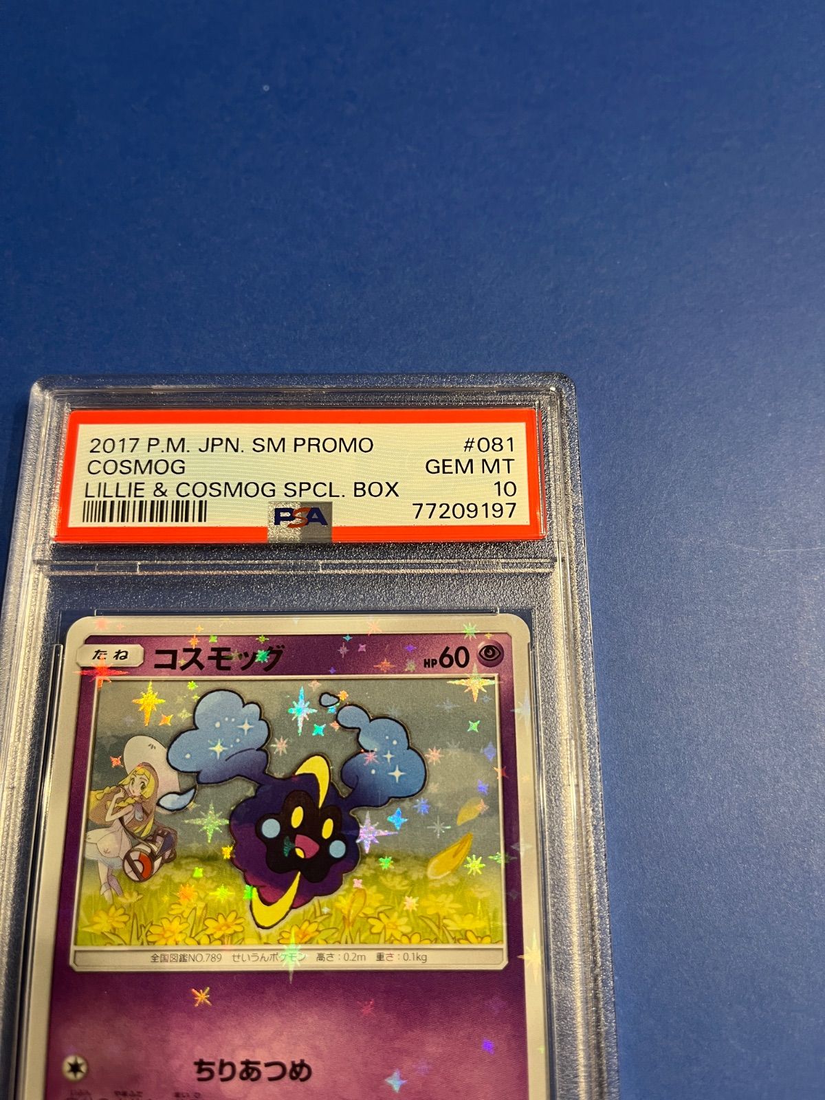 ポケモンカード リーリエコスモッグ スペシャルセット 【公式通販】