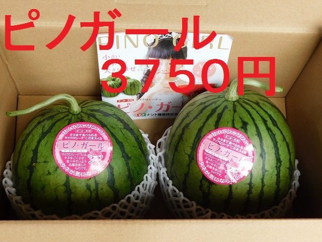 売り切れたらゴメンなさい！2玉入り！種まで食べられる大人気の高級スイカ「ピノガール」 - メルカリ