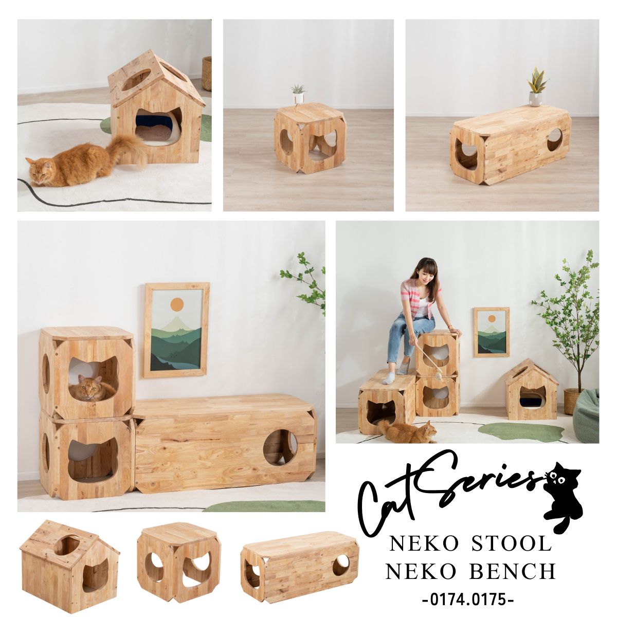 ネコベンチ ネコの家