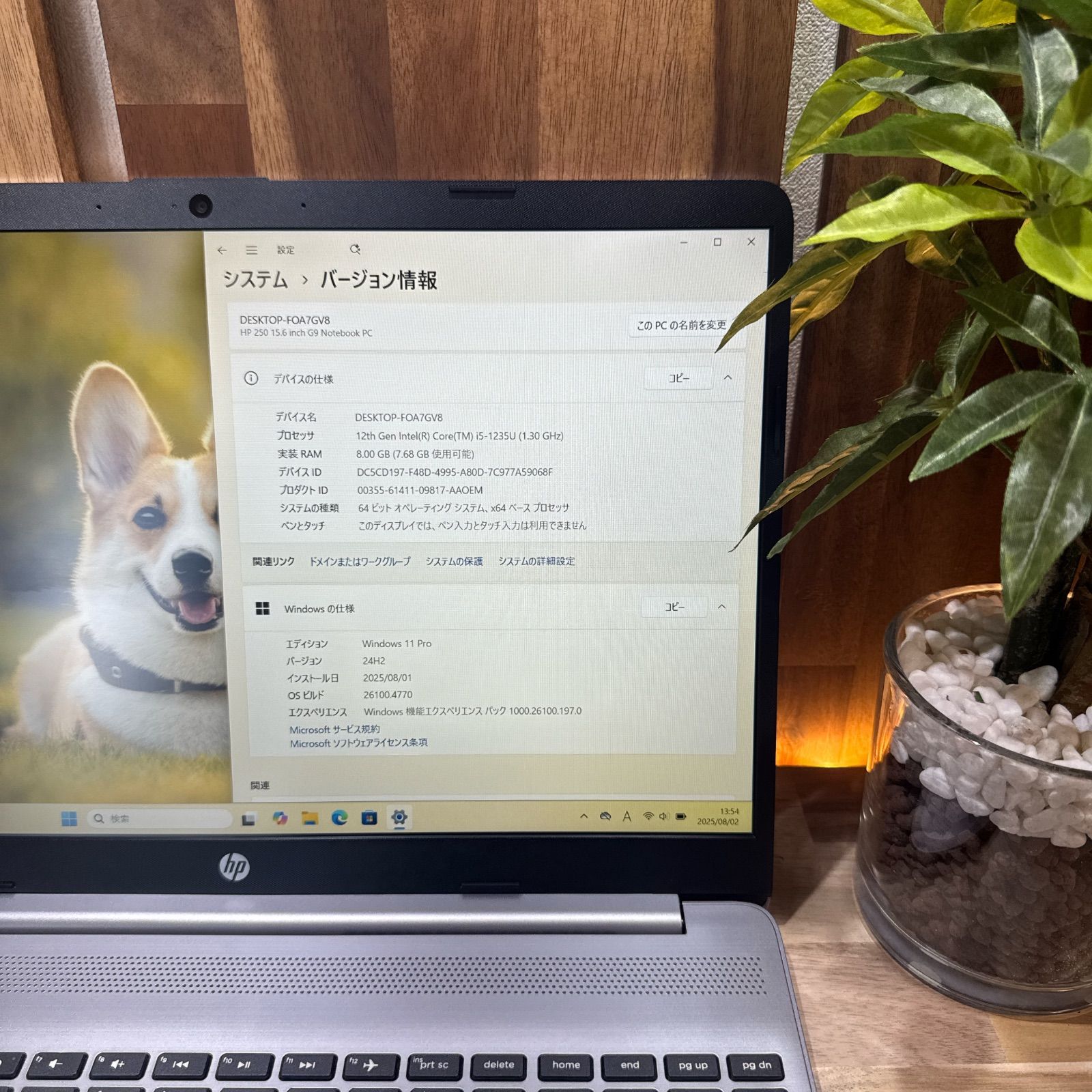 美品2023年式‼️HP☘️学生向け☘️i5第12世代☘️フルHD☘️人気ノートパソコン 公式ショップ限定価格❣️/ 《最新2023年モデル》HP 250 G9 第12