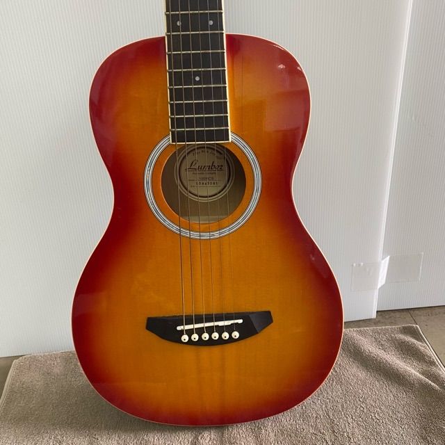 【美品】アコースティックミニギターLumberL100MTS ＋ケース＋ピック付 レビュー高評価の商品！ アコースティック ミニギター Lumber