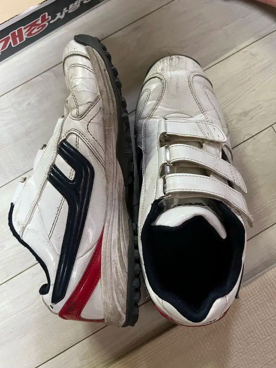 広島東洋カープ スニーカー25.5cm カープ ✕ スピングル シューズ M